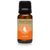 All Natural Fragrance Oil - Amber - 10ML by Eternal Essence Oils