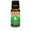 All Natural Fragrance Oils - Gardenia & Tea - 10ML by Eternal Essence Oils