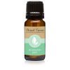 All Natural Fragrance Oils - Rosemary Mint - 10ML by Eternal Essence Oils