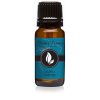 Aspen Winter Premium Grade Fragrance Oil - Scented Oil 10ml by Eternal Essence Oils