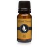 Bay Rum Premium Grade Fragrance Oil - 10ml - Scented Oil by Eternal Essence Oils