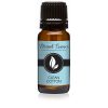 Eternal Essence Oils Clean Cotton Premium Grade Fragrance Oil - 10ml - Scented Oil