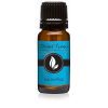 Eucalyptus Premium Grade Fragrance Oil - 10ml - Scented Oil by Eternal Essence Oils