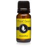 Pineapple Premium Grade Fragrance Oil - 10ml - Scented Oil by Eternal Essence Oils