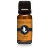 Pumpkin Patch Premium Grade Fragrance Oil - Scented Oil - 10ml by Eternal Essence Oils