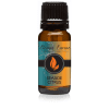 Seaside Citrus - Premium Grade Fragrance Oils - 10ml - Scented Oil by Eternal Essence Oils