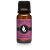 Tropical Passionfruit Premium Grade Fragrance Oil - 10ml - Scented Oil by Eternal Essence Oils