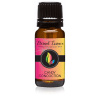 Candy Concoction - Premium Grade Fragrance Oils - 10ml - Scented Oil by Eternal Essence Oils