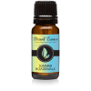 Summer Boardwalk - Premium Grade Fragrance Oils - 10ml - Scented Oil by Eternal Essence Oils